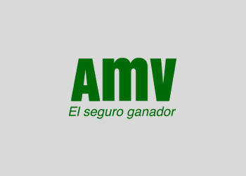 logo-amv-hosting